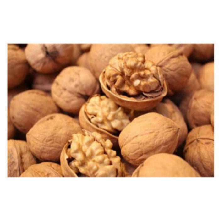 Chilean Walnuts with Shell - Premium Walnuts with Shell (1kg)