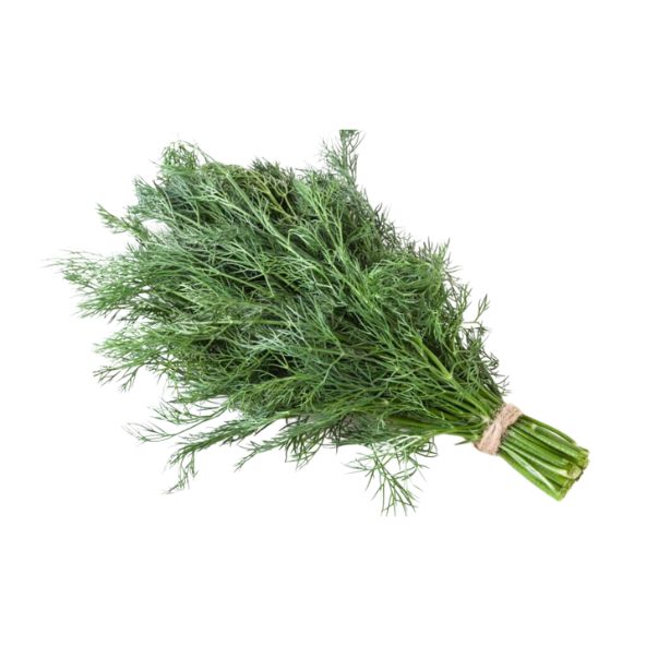 Dill 1 Bunch