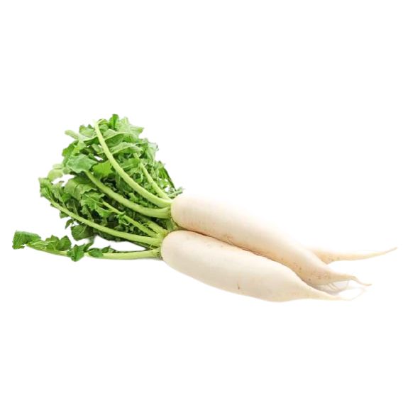 Fresh Asian Mooli Radish / Daikon