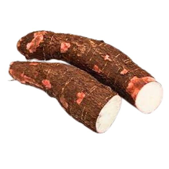 Fresh Cassava 1.5 KG - Product of Ghana Fresh Cassava 1.5 KG