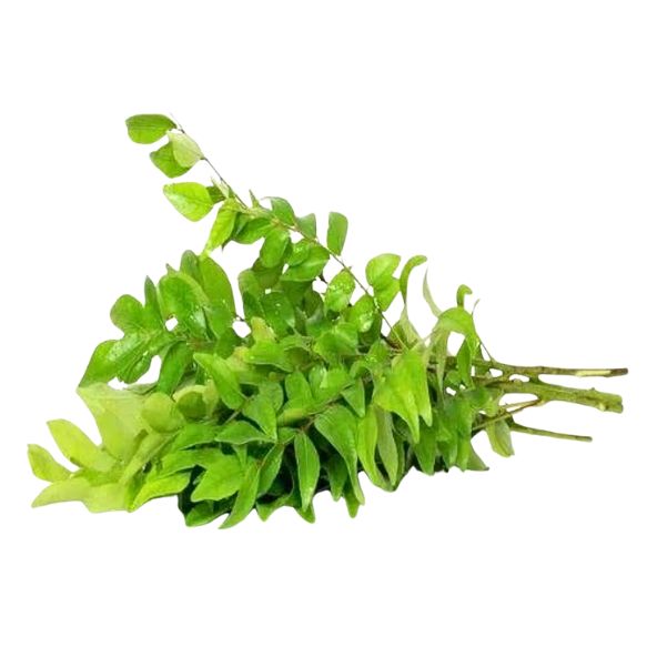 Fresh Curry Leaves (1 Packs)
