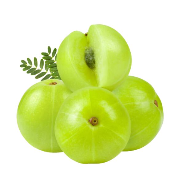 Fresh Indian Green Amla / Gooseberry Super Food 500g