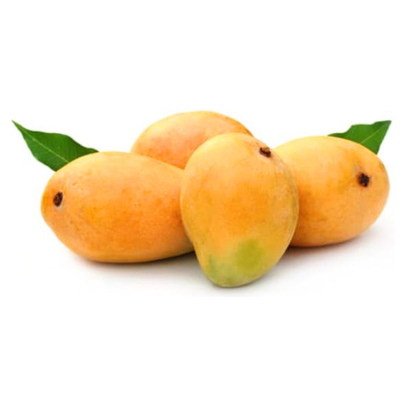 Alphanso Mangoe Box of 12