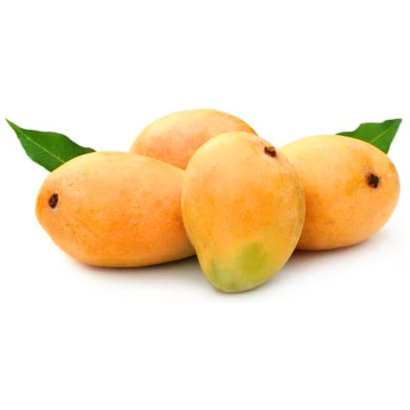 Alphanso Mangoe Box of 6