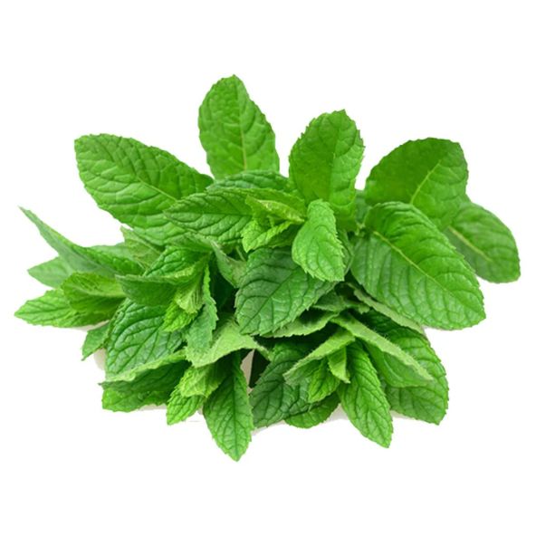 Mint Bunch 3 pack