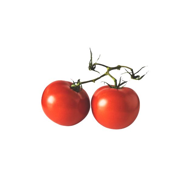 PLUM TOMATOES