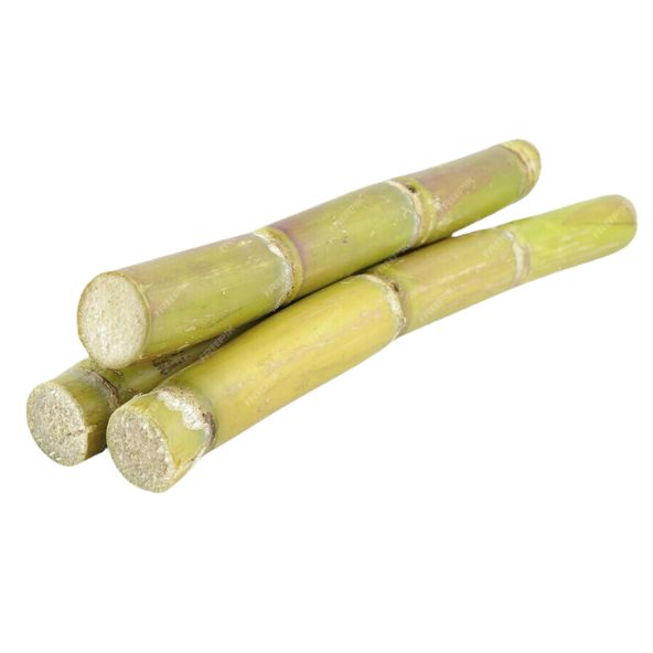 Sugar Cane Fresh 1 KG
