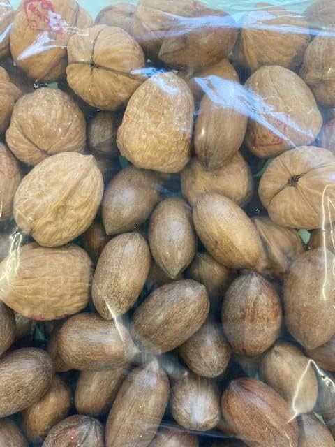 Nut Mix in Shell Walnuts and Pecan Nuts, Premium Raw Whole Nuts (1)