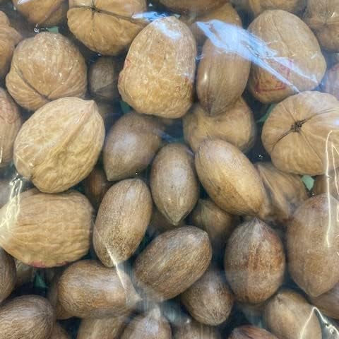 Nut Mix in Shell Walnuts and Pecan Nuts, Premium Raw Whole Nuts (1)