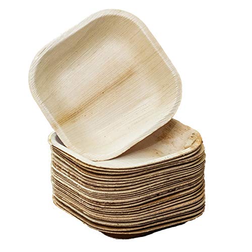 25 X 25 cm Square Plates (25 Plates)