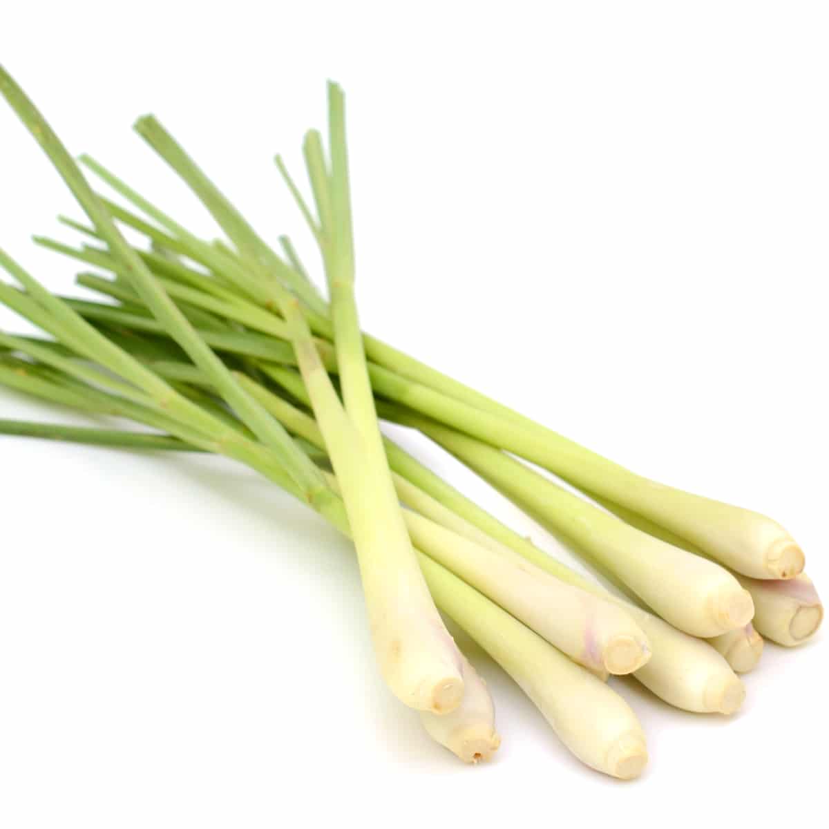 Fresh Thai Lemon Grass - 1kg