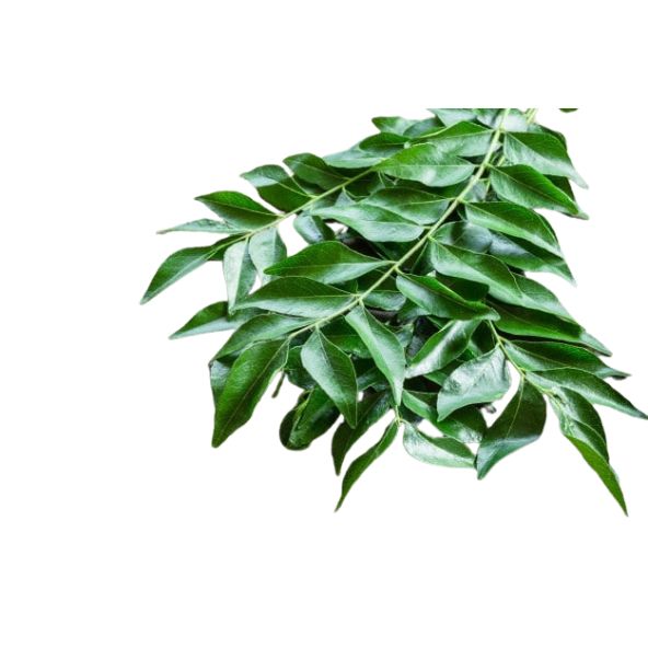 Curry leaves  1 pack