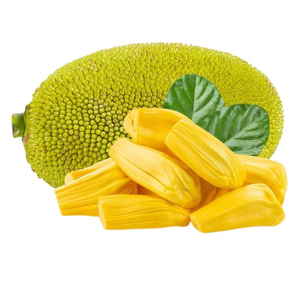 Fresh Jackfruit Whole ~8-14 kg - Weekly Import from Local Farms of Mexico