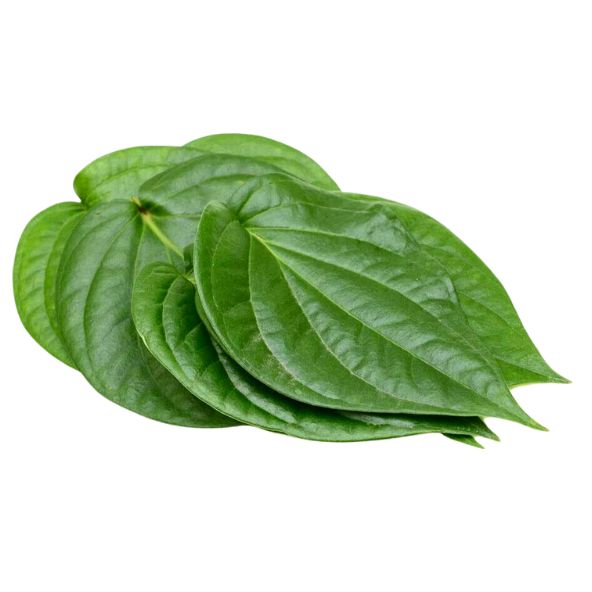 Indian Paan Leaf, Betel Leaves, Fresh Pan Leaves (25 Paan)