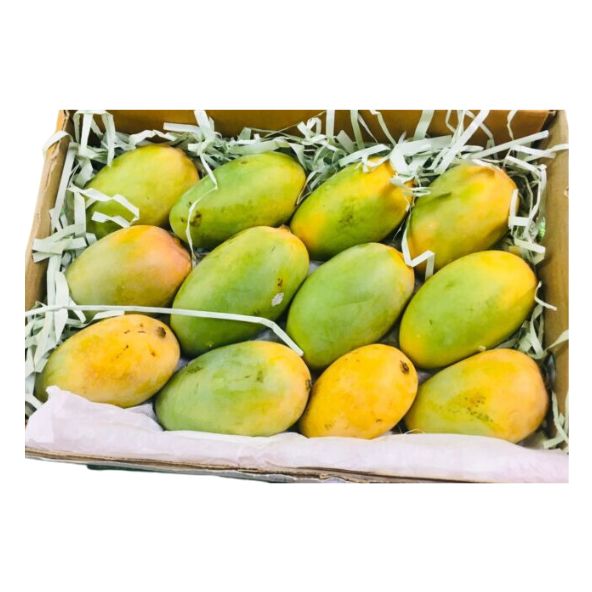 Kesar Mango - Box of 6